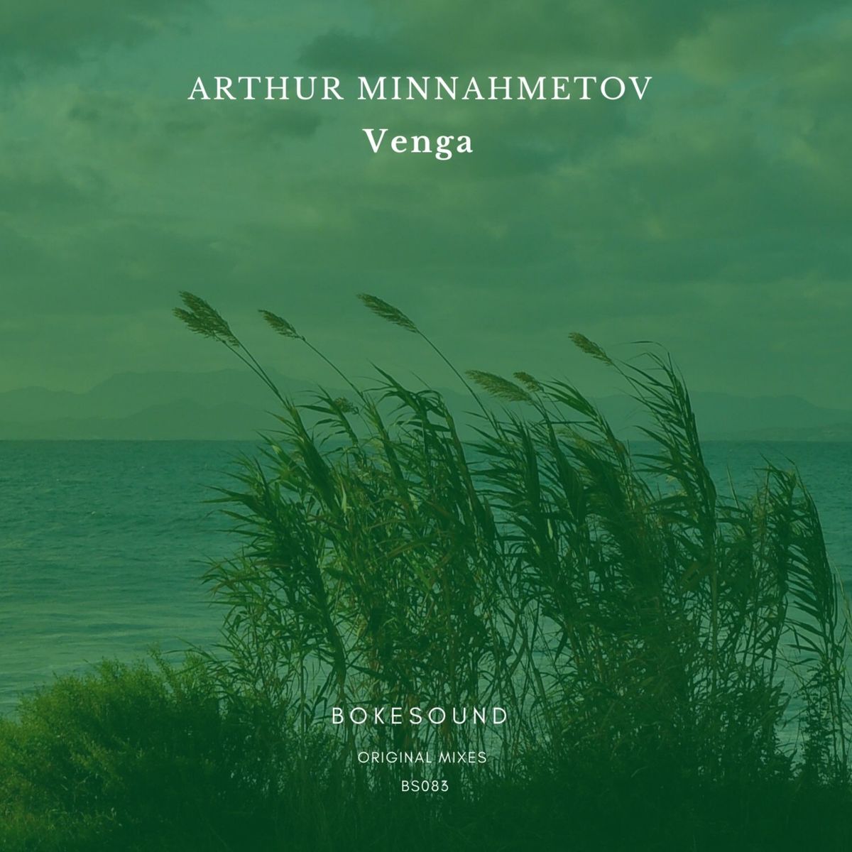 Arthur Minnahmetov - Venga EP [BS083]